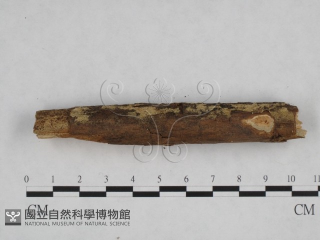 登錄號:F0024833藏品圖，第3張