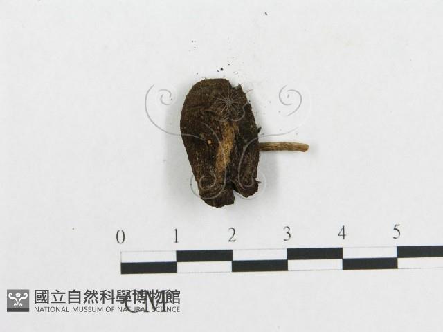 登錄號:F0004833藏品圖，第3張