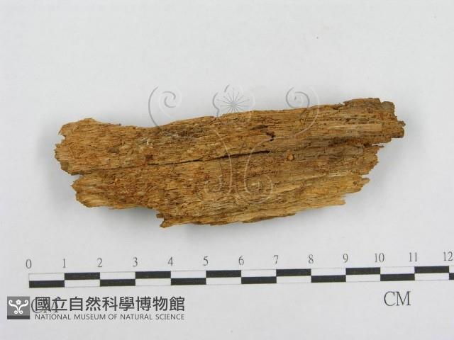 館號:F0000933藏品圖，第3張