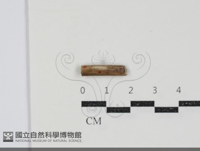 登錄號:F0034933藏品圖，第3張