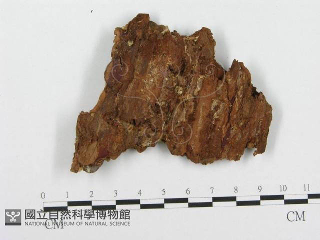 登錄號:F0004633藏品圖，第3張