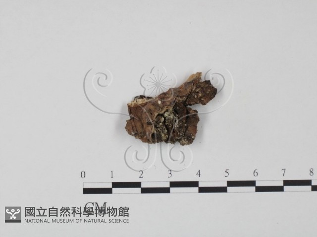 登錄號:F0009633藏品圖，第3張