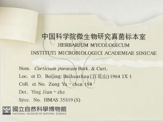 登錄號:F0000433藏品圖，第4張