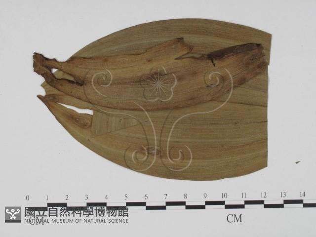 登錄號:F0019433藏品圖，第3張