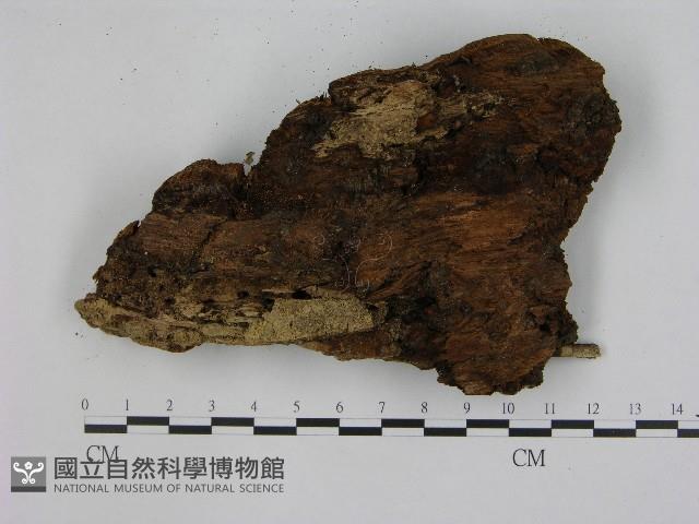 登錄號:F0004733藏品圖，第3張