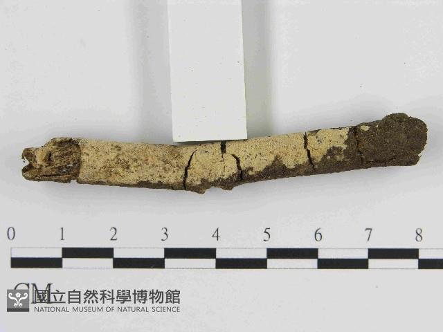 登錄號:F0014733藏品圖，第3張