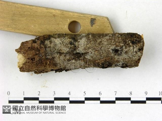 登錄號:F0022733藏品圖，第3張