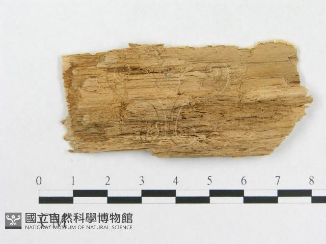 登錄號:F0008133藏品圖，第3張