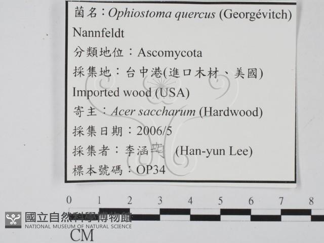 登錄號:F0022133藏品圖，第3張