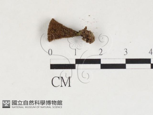 登錄號:F0027133藏品圖，第3張