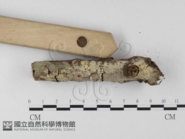 Accession Number:F0004033 Collection Image, Figure 3, Total 3 Figures