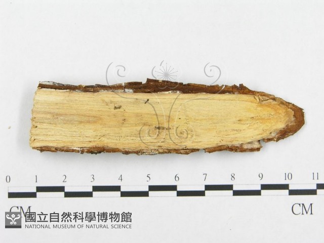 登錄號:F0014033藏品圖，第3張