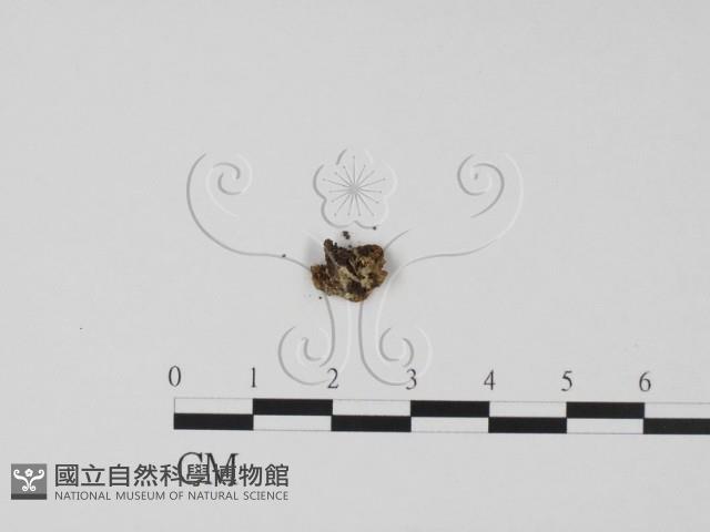 登錄號:F0015033藏品圖，第3張