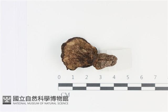 登錄號:F0035033藏品圖，第3張
