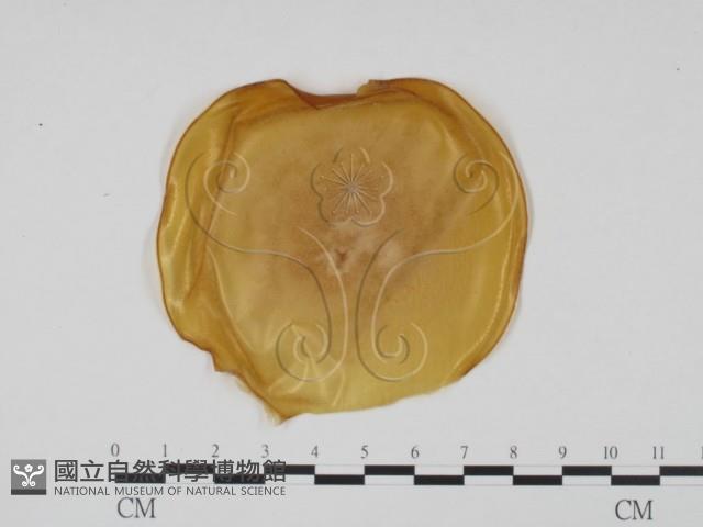 登錄號:F0021273藏品圖，第3張