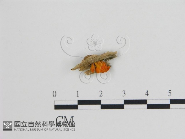 登錄號:F0015273藏品圖，第3張