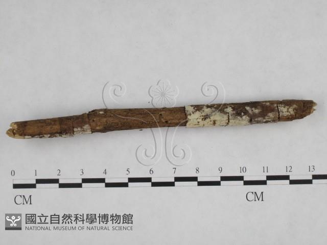 登錄號:F0007873藏品圖，第3張