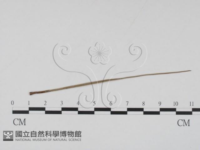 登錄號:F0019873藏品圖，第3張