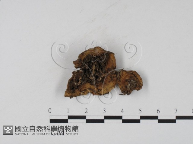 登錄號:F0001973藏品圖，第3張