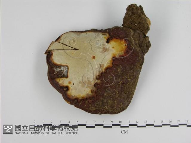 登錄號:F0002973藏品圖，第3張