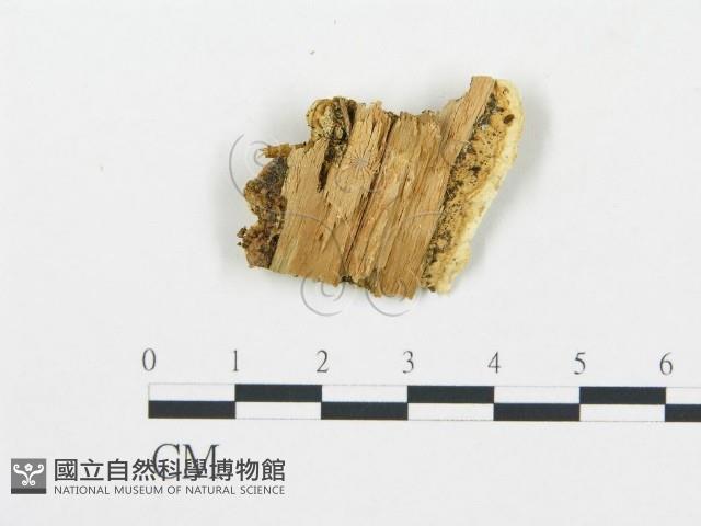 登錄號:F0005973藏品圖，第3張