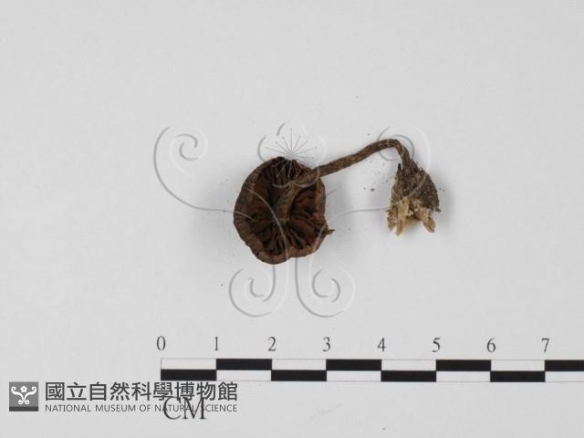 登錄號:F0025673藏品圖，第3張