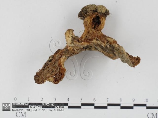 登錄號:F0024473藏品圖，第3張