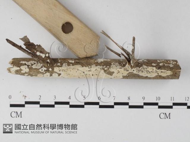 登錄號:F0025473藏品圖，第3張