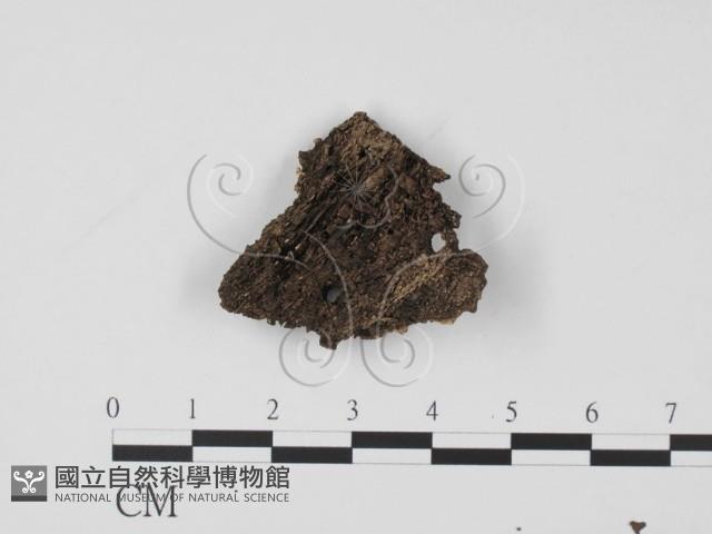登錄號:F0020773藏品圖，第3張