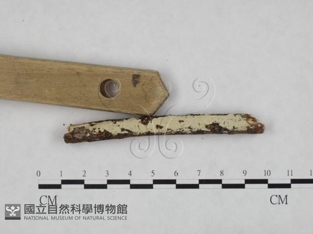 登錄號:F0024773藏品圖，第3張