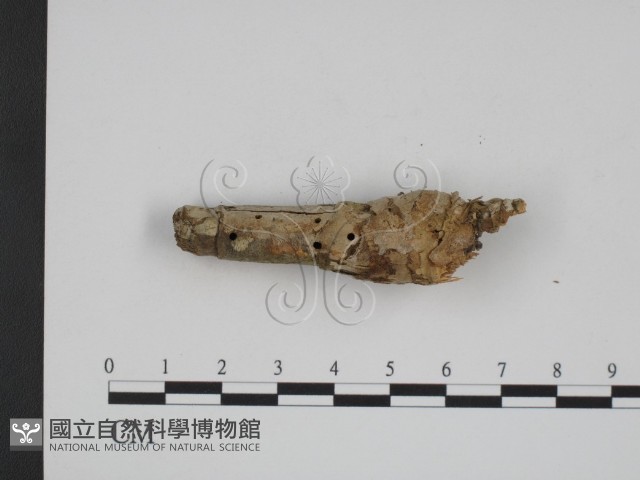 登錄號:F0007773藏品圖，第3張