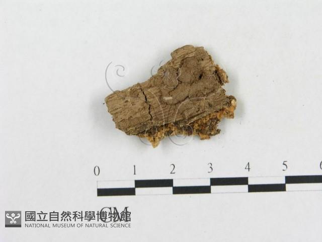 登錄號:F0006573藏品圖，第3張