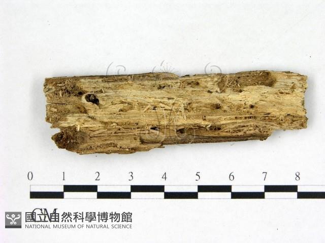 登錄號:F0022573藏品圖，第3張