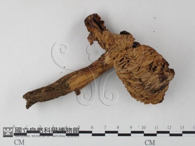 登錄號:F0023573藏品圖，第3張