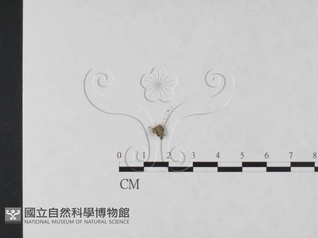 登錄號:F0000173藏品圖，第3張