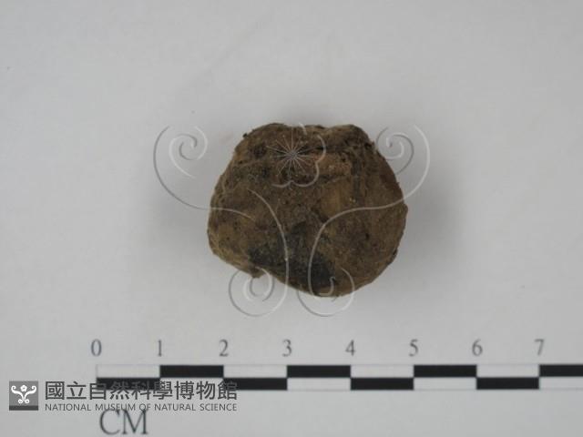 登錄號:F0023173藏品圖，第3張