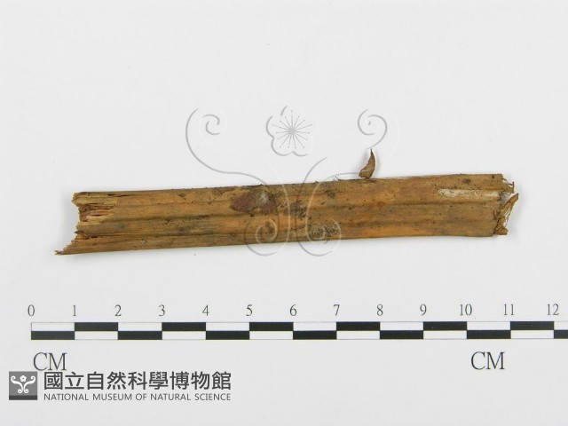 登錄號:F0003173藏品圖，第3張