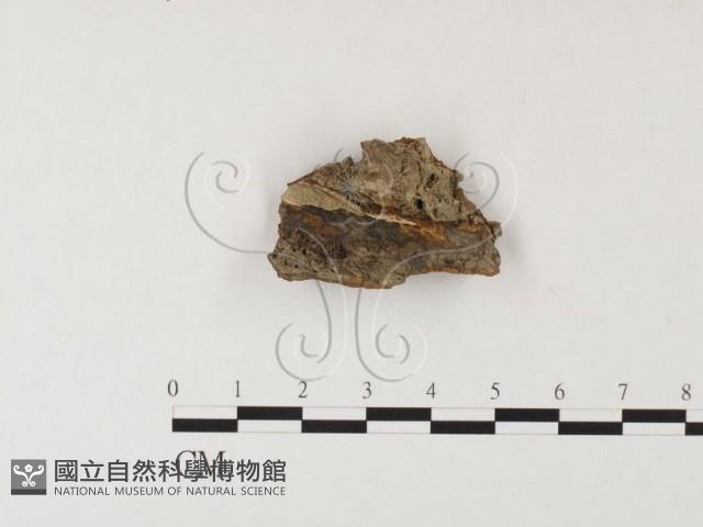 登錄號:F0026073藏品圖，第3張