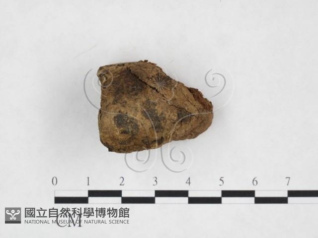 登錄號:F0024073藏品圖，第3張