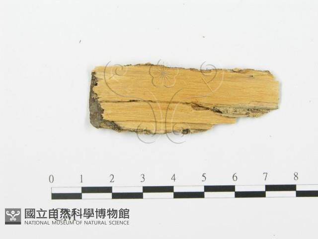 登錄號:F0006373藏品圖，第3張