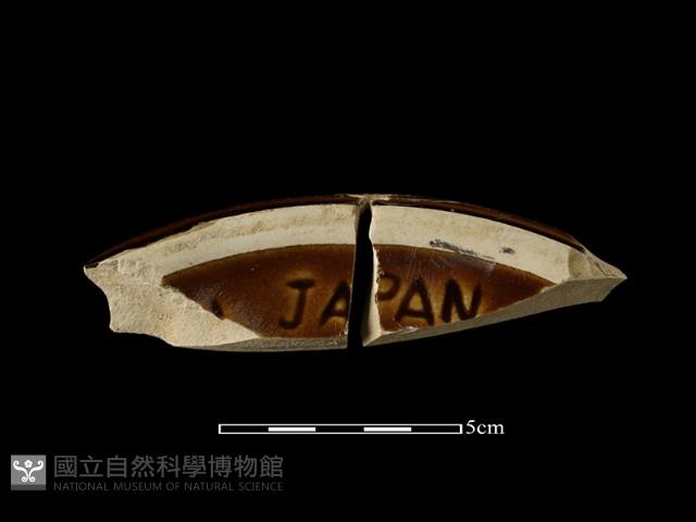 陶罐藏品圖，第3張