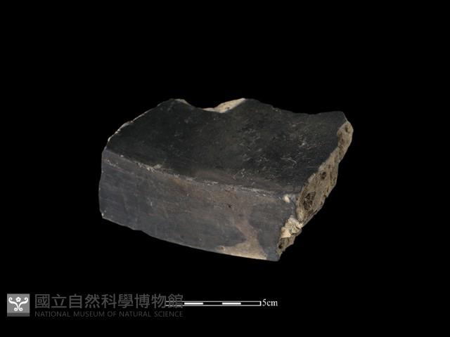 瓦片藏品圖，第1張