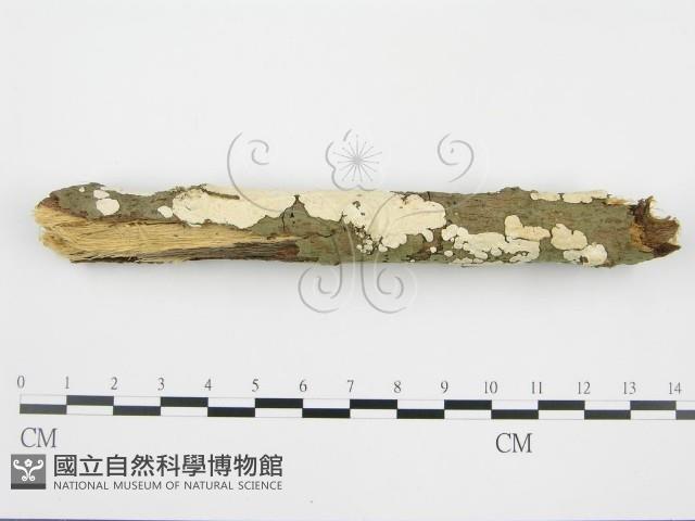 登錄號:F0001568藏品圖，第7張