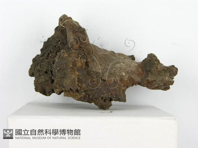 登錄號:F0010610藏品圖，第7張