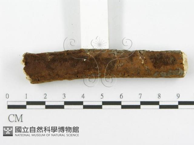 登錄號:F0017230藏品圖，第1張