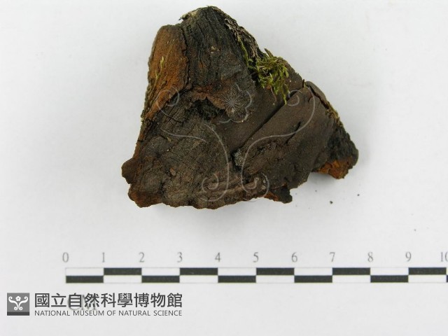 登錄號:F0014152藏品圖，第7張