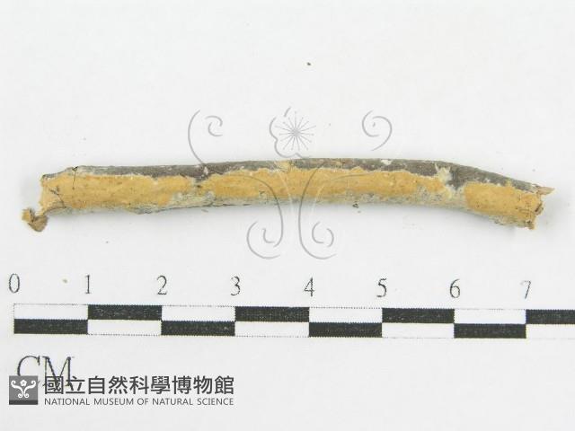 登錄號:F0002519藏品圖，第7張