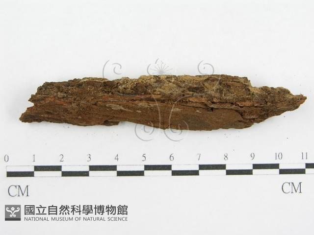 登錄號:F0000959藏品圖，第7張