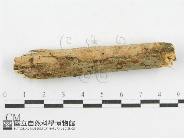 登錄號:F0001023藏品圖，第7張