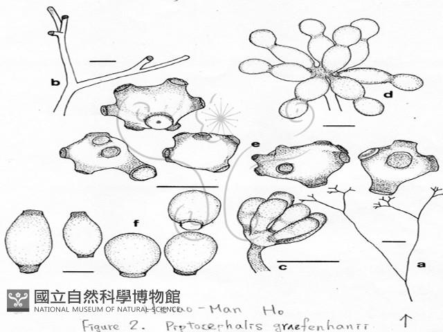 登錄號:F0018433藏品圖，第7張